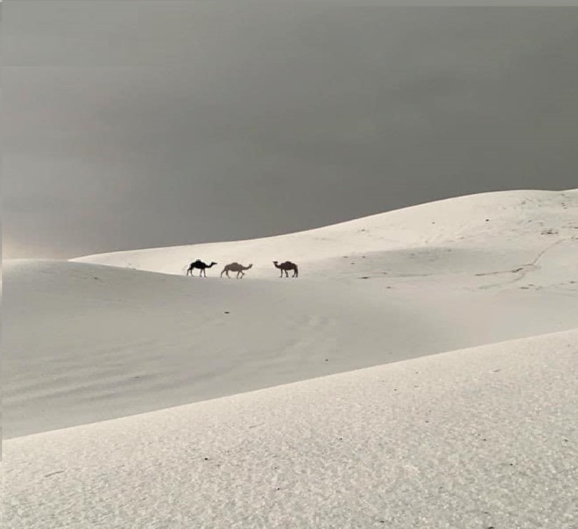 grandine_sahara-1.jpg