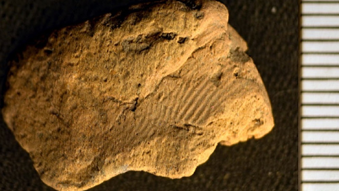 Scozia: un’impronta digitale di 5.000 anni fa scoperta su un frammento di ceramica