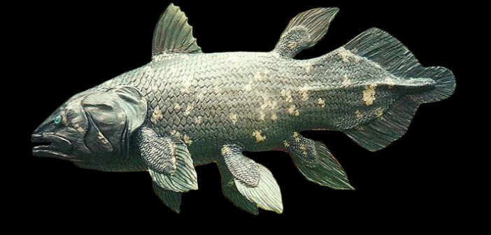 pesce-1-1.jpg
