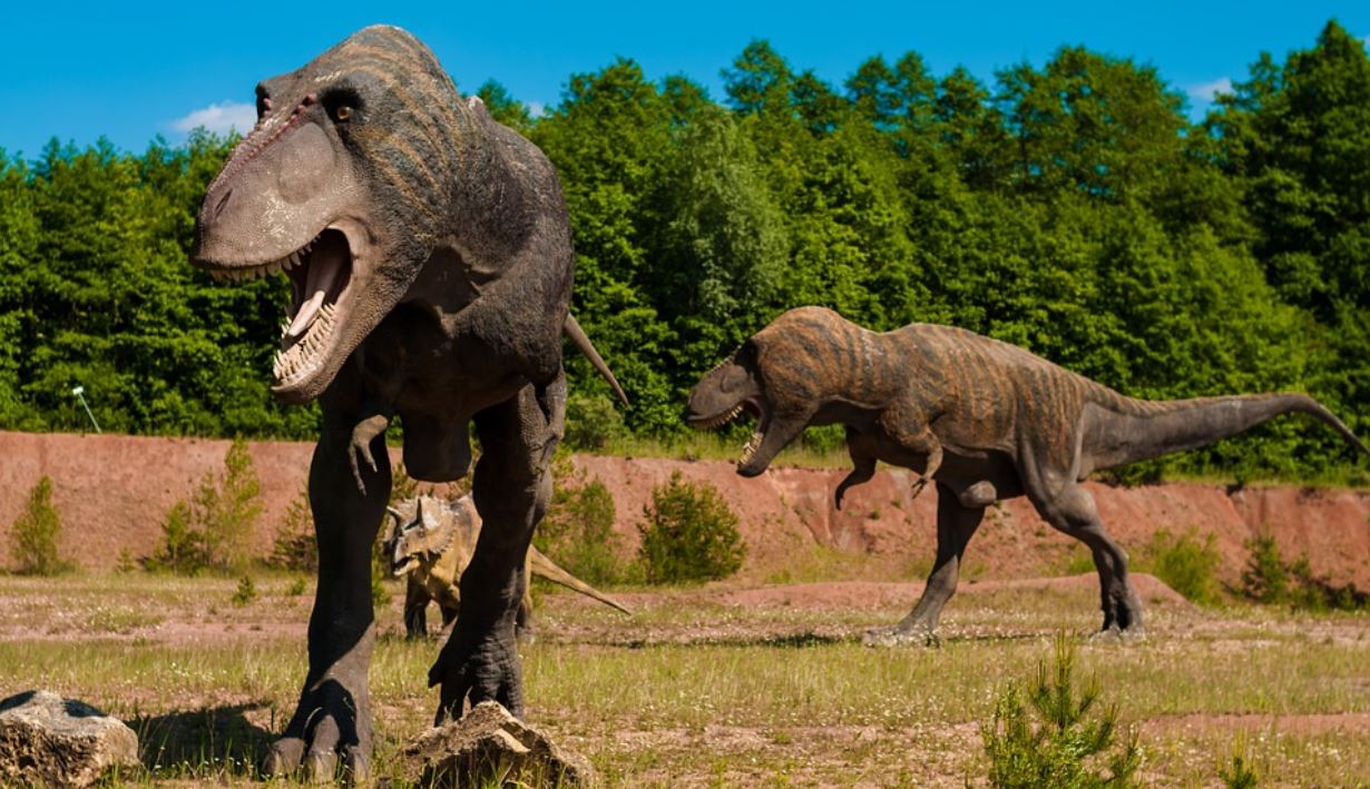 tirannosauro-rex-1.jpg