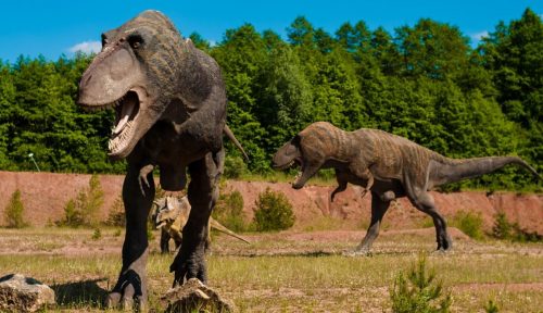 Scoperto quanti T-rex hanno vissuto sulla Terra: il numero totale è enorme