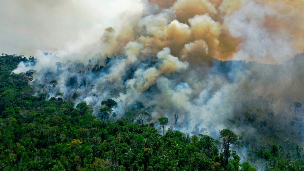 La foresta amazzonica sta emettendo più anidride carbonica di quanto ne assorbe