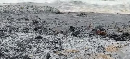 Tonnellate di palline di plastica ricoprono le spiagge dello Sri Lanka dopo l’incendio di una nave. Si rischia disastro ambientale