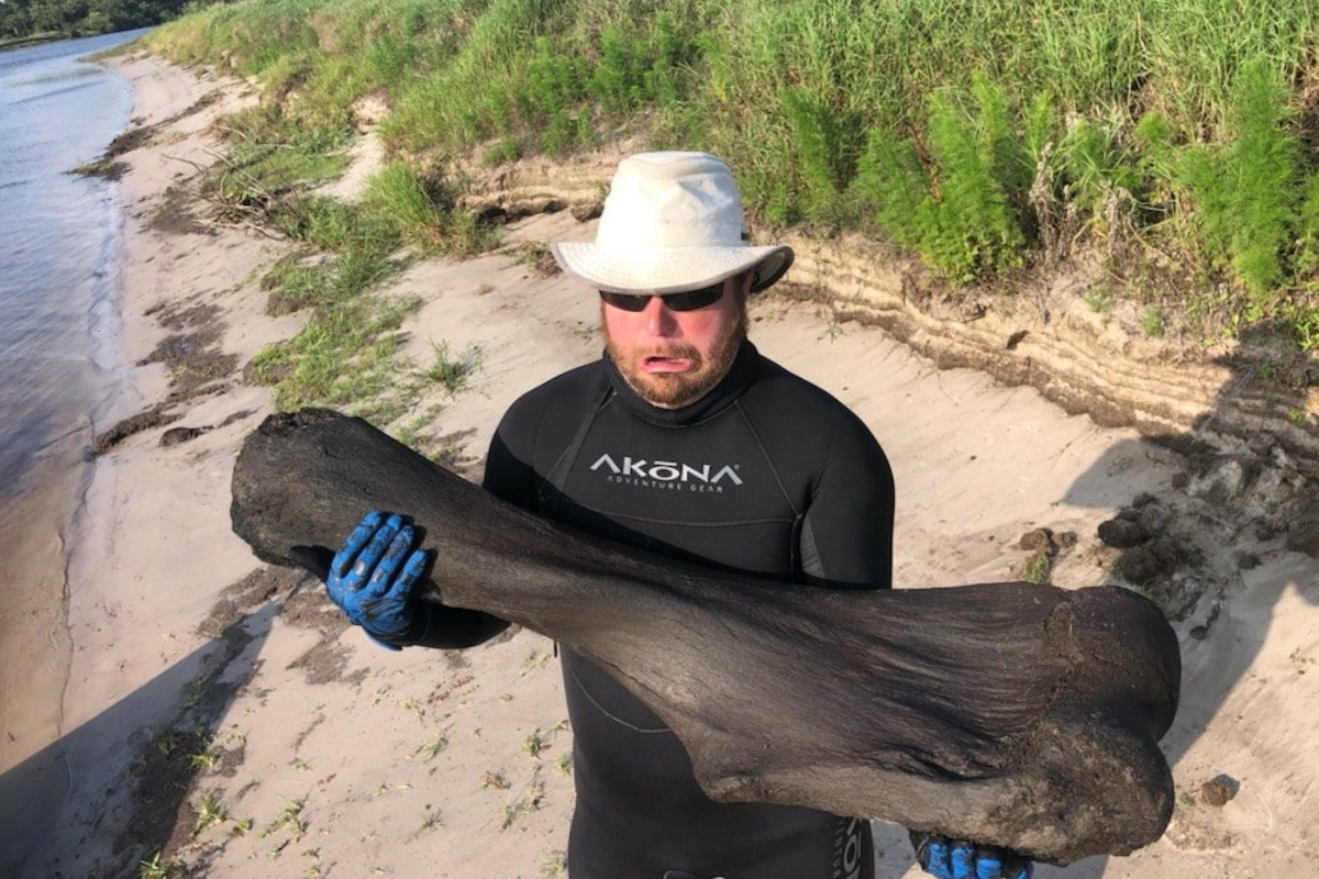 Florida: si tuffano nel fiume e trovano  un enorme osso di mammut