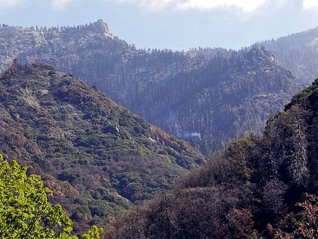 California: al Sequoia National Park una sequoia è in fiamme da più di nove mesi