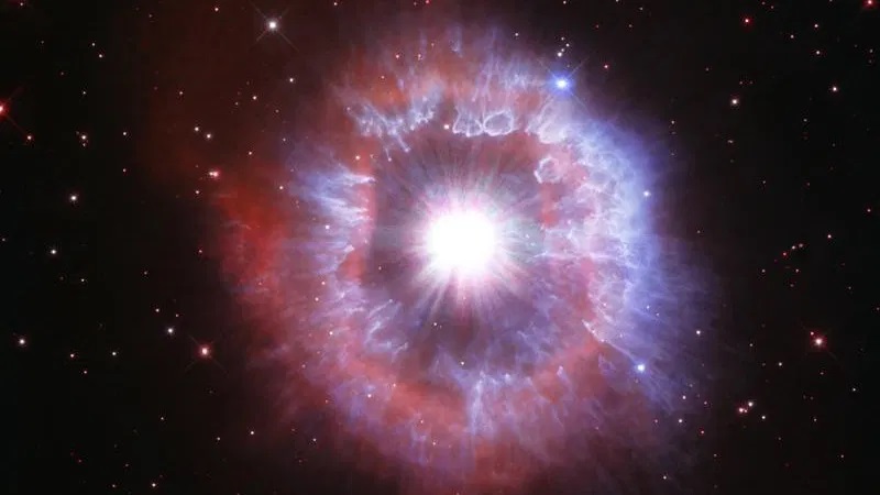 stella-1.jpg