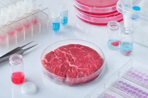 Carne in laboratorio: apre impianto industriale capace di produrre 5000 hamburger al giorno