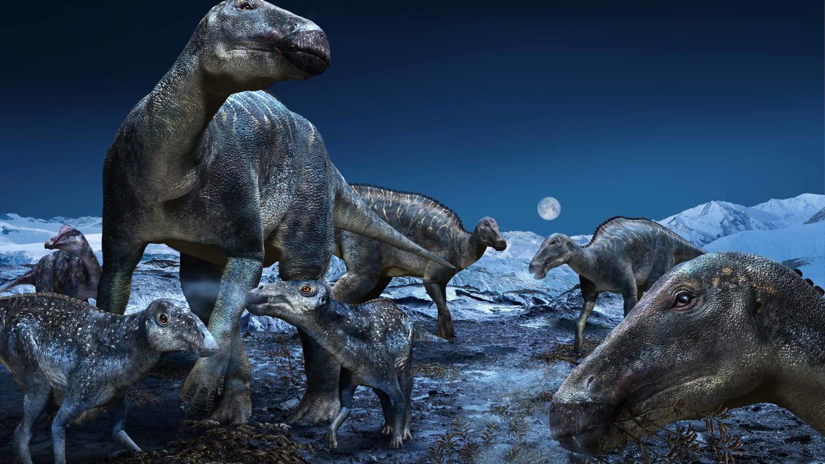 dinosauri-1.jpg