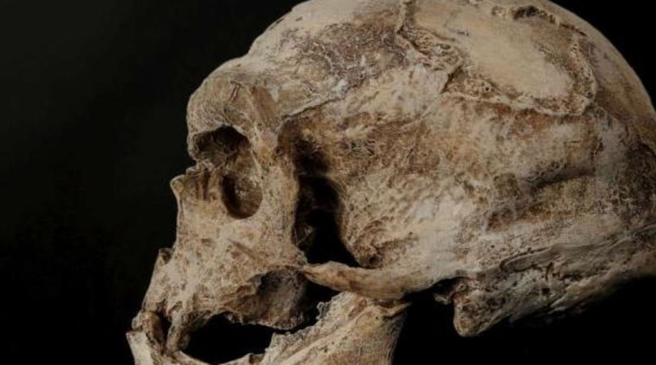 fossili-homo-israele-1.jpg