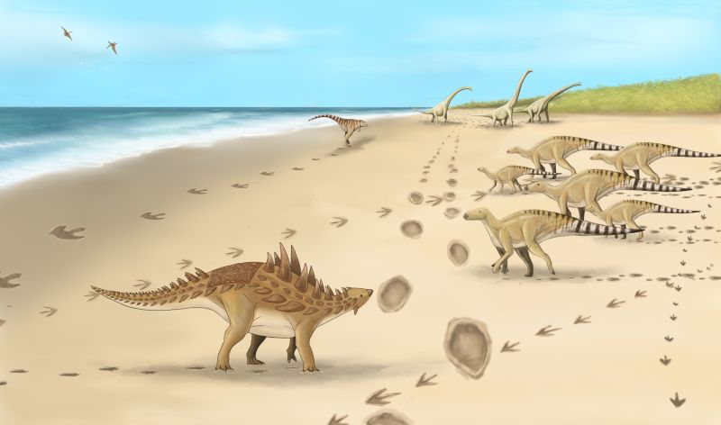 Paleontologia: le impronte degli ‘ultimi dinosauri’ scoperte in Gran Bretagna