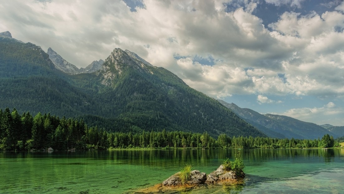natura-1.jpg