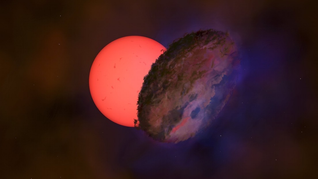 stella-1.jpg