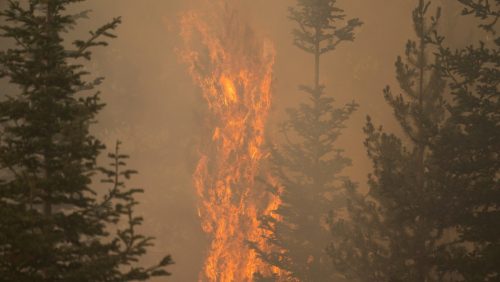 USA: l’incendio ‘Bootleg Fire’ è così esteso da modificare le condizioni meteorologiche
