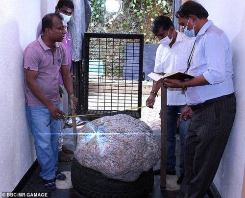 Sri Lanka: scoperto il più grande zaffiro stellato di sempre. Pesa mezza tonnellata