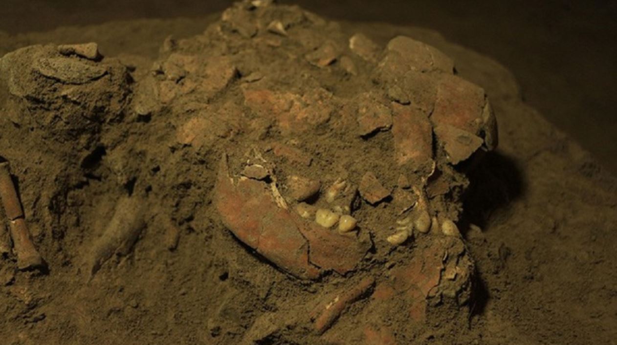 Scoperto il Dna integro di una donna vissuta 7.300 anni fa