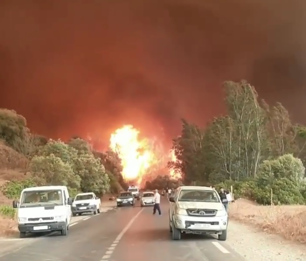 Incendi Algeria: le fiamme distruggono i centri abitati. Bilancio di oltre 40 morti