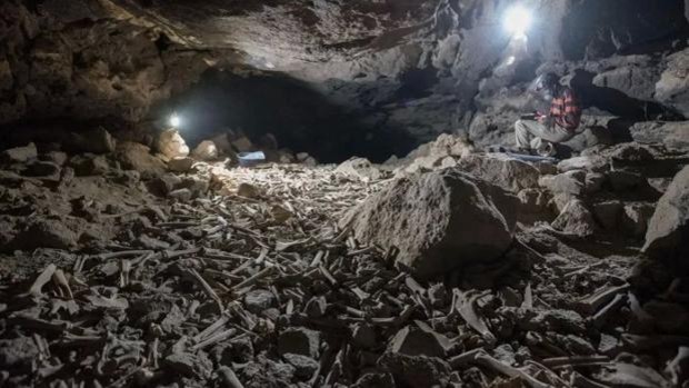 Arabia Saudita: migliaia di ossa, anche umane, scoperte in una grotta