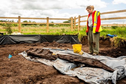 Irlanda: una scultura lignea pagana di 1.600 anni scoperta in una palude