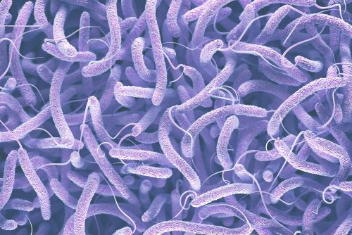 Nigeria: 2.150 morti in un anno a causa del colera