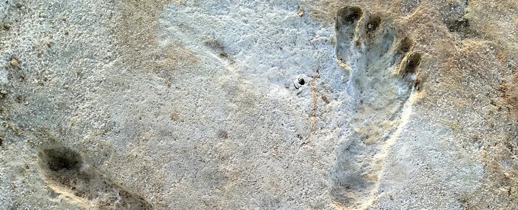 Impronte di bambini di 23.000 anni fa in USA: ‘Sono le prime tracce di umani in America’