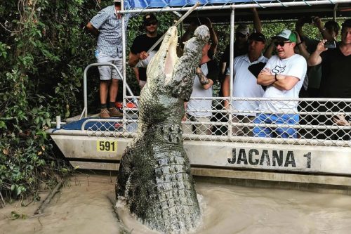 Australia: “tour dei coccodrilli saltanti” finisce in tragedia