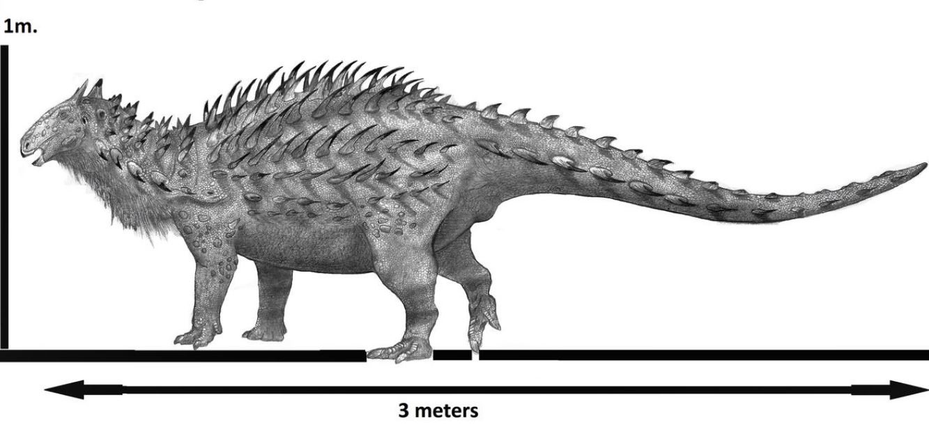 Scoperto fossile “insolito”: è di una nuova specie di dinosauro, lo Spicomellus afer