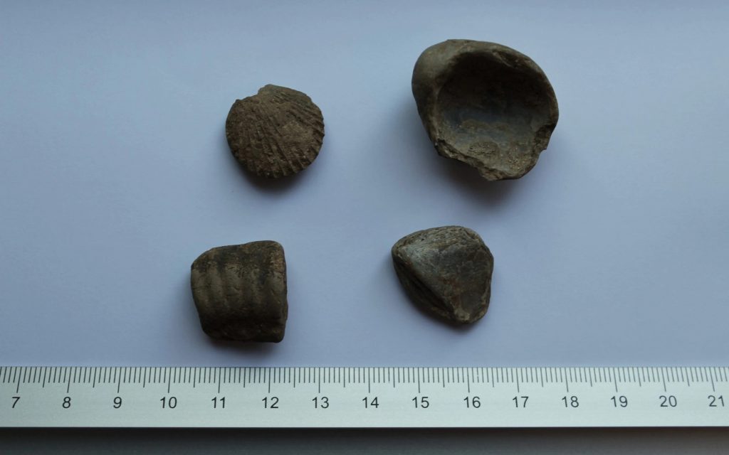 1633946557412-1024x640-1-1.jpg