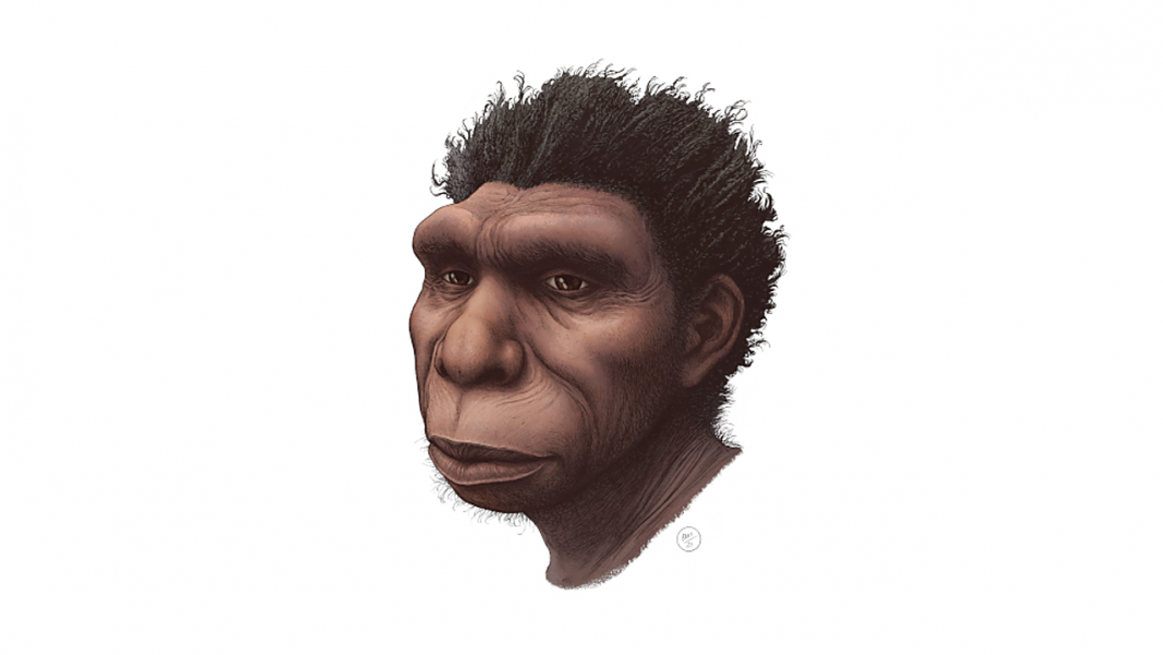 Homo-bodoensis-1068x601-1-1.png