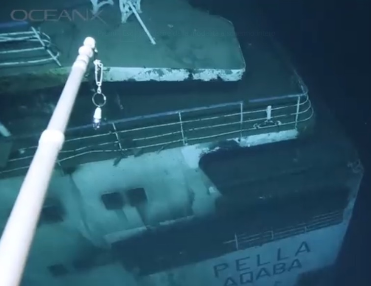 Mar Rosso: un calamaro gigante sbuca da un relitto a circa 850 metri di profondità. Il video