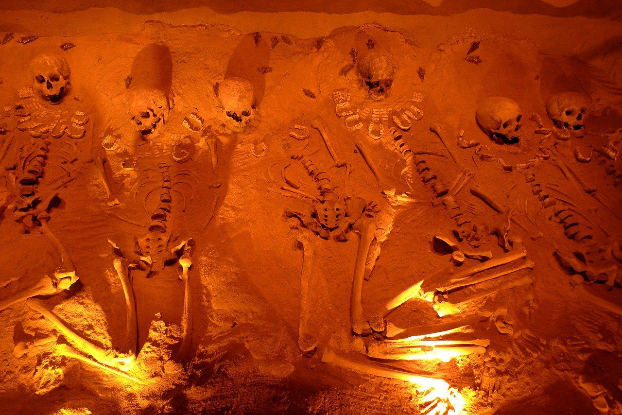 Centinaia di scheletri di Naledi scoperti in una grotta. È la più antica sepoltura