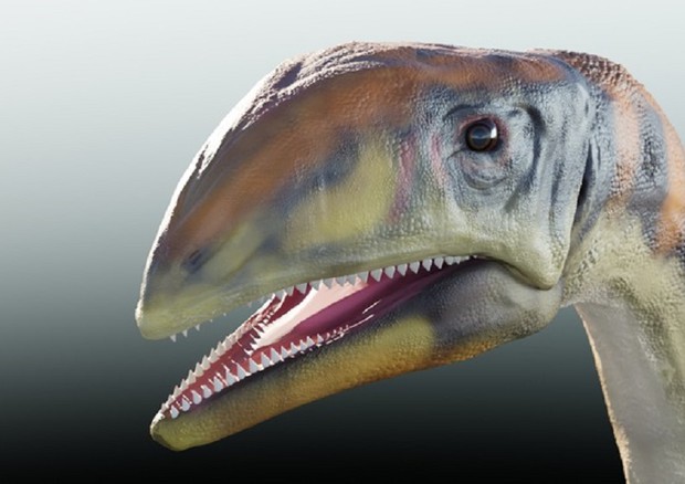dinosauro-1.jpg