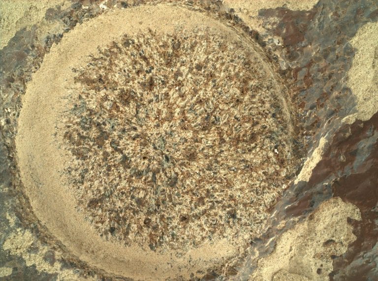 Perseverance scopre “quello che nessuno ha mai visto” in una roccia su Marte