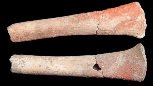 Spagna: livelli altissimi di mercurio in scheletri di 5.000 anni fa