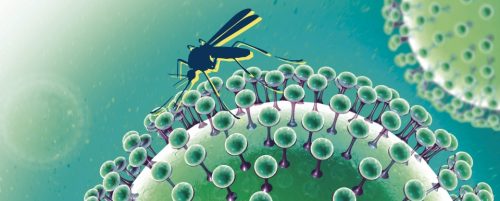 Virus Zika: 89 contagiati in India. Al via test di massa