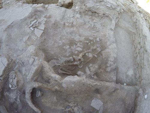Turchia: scoperti resti di un uomo e un cane travolti da uno tsunami 3600 anni fa