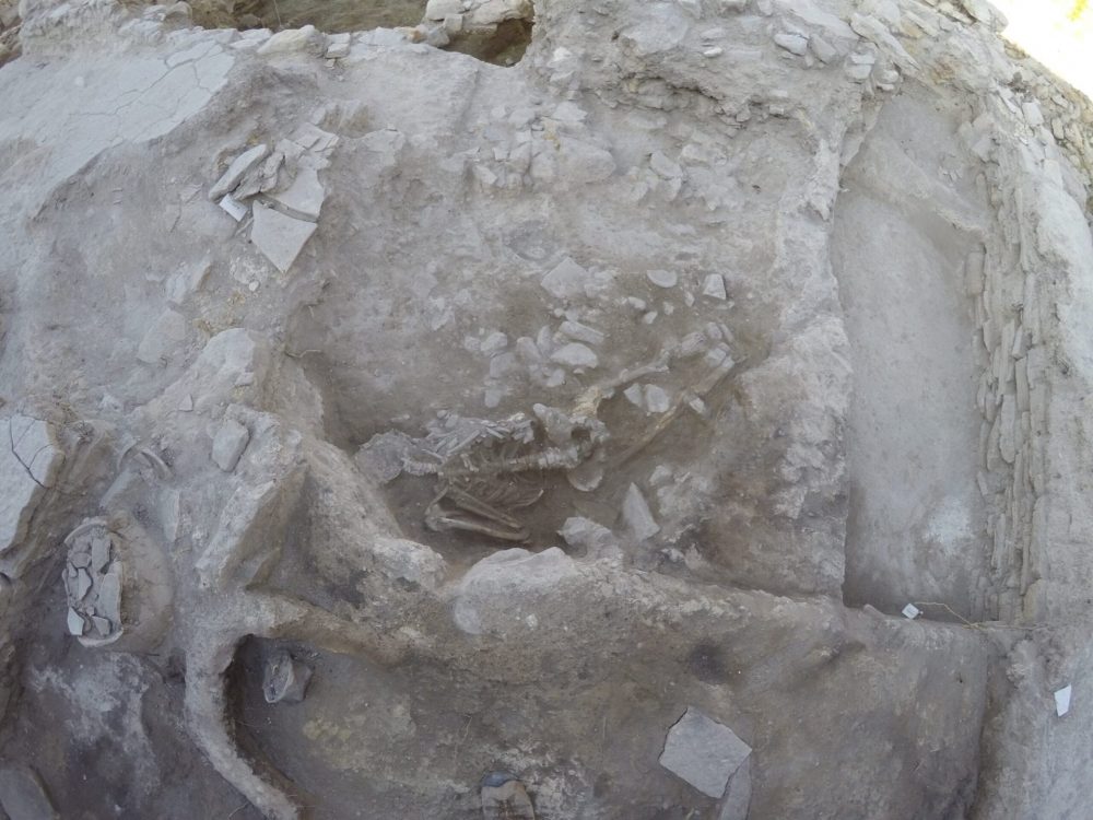 Skeleton-of-young-man-killed-by-ancient-tsunami-found-on-scaled-1-e1640799792838-1.jpg