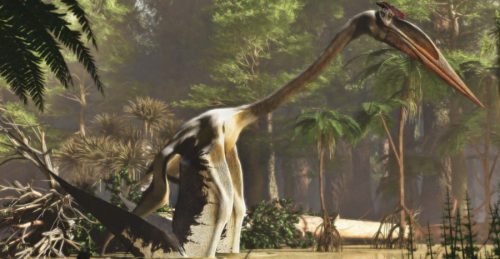 L’airone titano: il più grande volatile mai esistito che terrorizzava i dinosauri