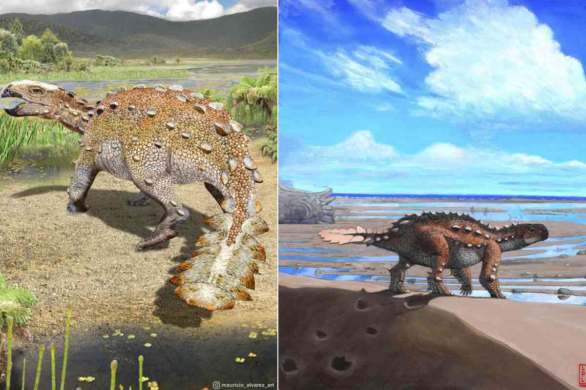 dinosauro_cile-1.jpg