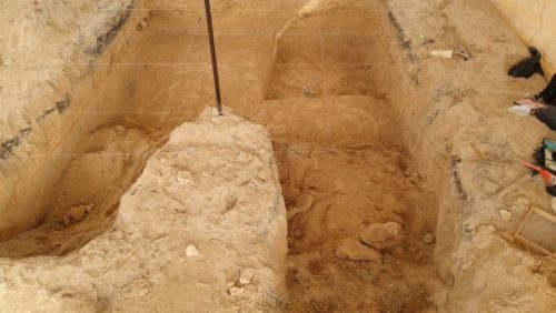Scoperti i resti di un mammut di 10.000 anni in un cimitero messicano