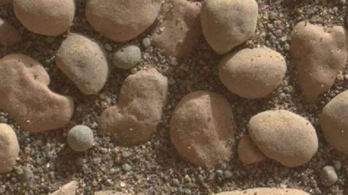 ‘Ciottoli di fiume’ su Marte. La foto di Curiosity
