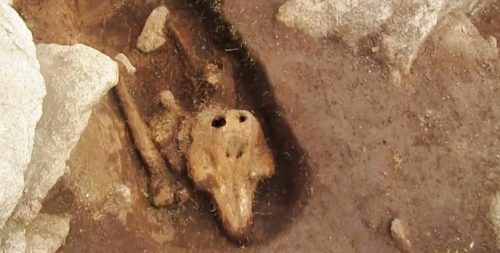Una creatura ”non umana” in una tomba medievale