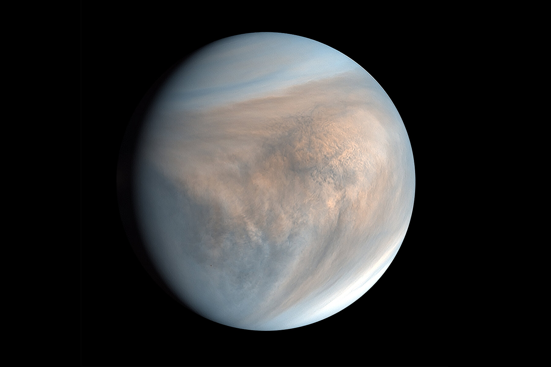 venere-1.jpg