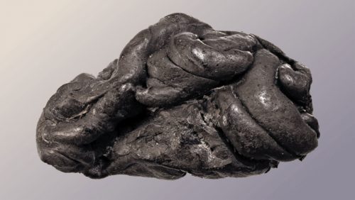 Genoma umano recuperato da antica gomma da masticare di 5.700 anni fa