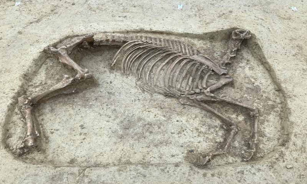 Germania: misterioso ritrovamento nel cimitero dei Merovingi