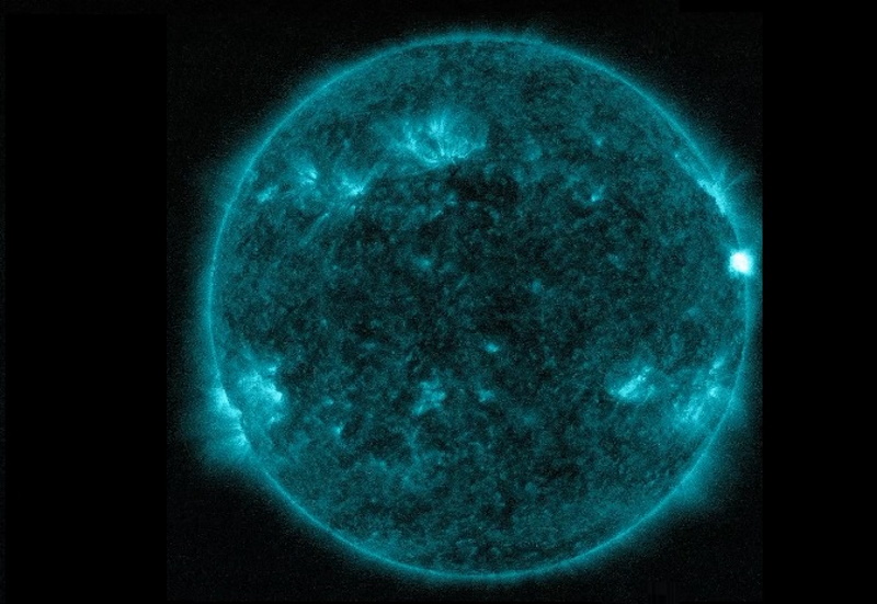 sole-1.jpg