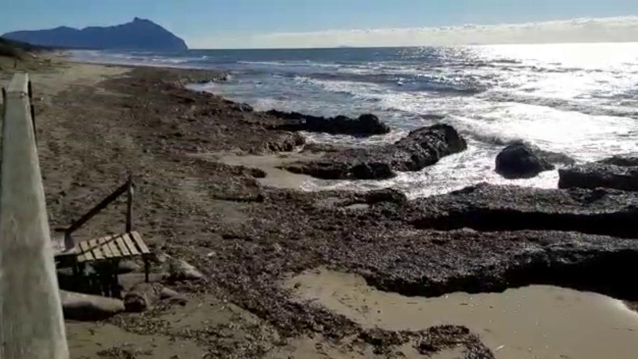 Le tracce dell’antico vulcano dei Colli Albani riemergono dalla costa di Sabaudia