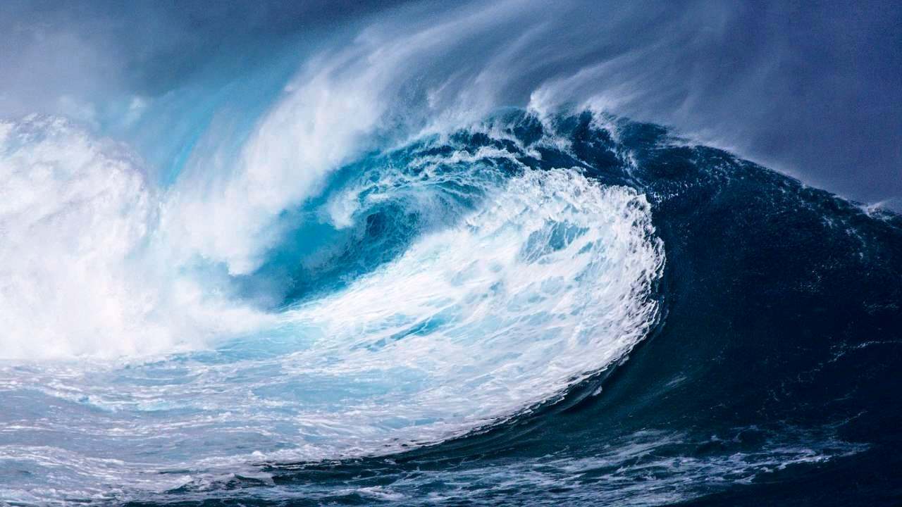 Honda-tsunami-1.jpg