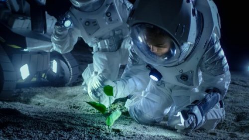 La NASA premia con un milione di dollari chi inventerà soluzioni innovative di cibo nello Spazio