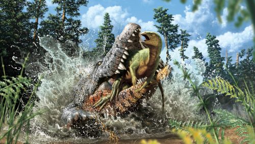 Una specie di coccodrillo ‘killer dei dinosauri’ scoperta in Australia