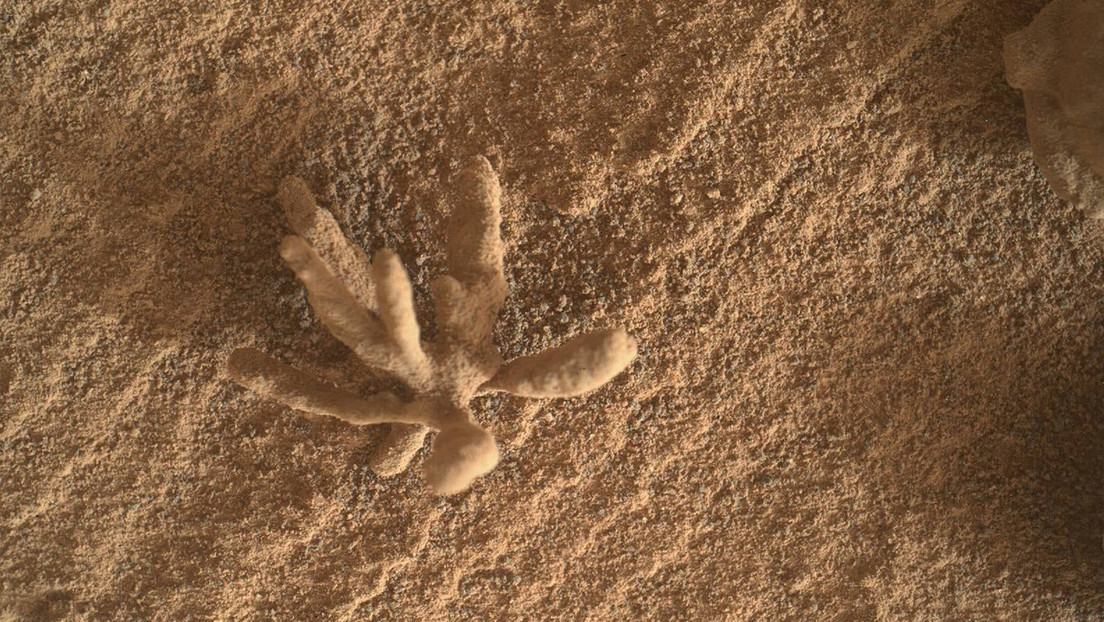 Marte: Curiosity scopre una formazione ‘simile’ ad un corallo